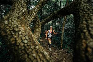 BIB: 
                            <button type="button" onclick="openModal(25670072)" class="btn btn-primary btn-sm float-right btn-popup" data-toggle="modal" data-target=".modal-high-quality">
                        <i class="fas fa-shopping-cart"></i> Add to Cart
                    </button>
                                            <button type="button" onclick="isThisMe(25670072, true)" class="btn btn-success btn-sm float-right btn-popup btn-isme hidden" data-toggle="tooltip" data-placement="bottom" title="นี่คือรูปของคุณใช่ไหม คลิกที่นี่เพื่อเอาเข้าอัลบั้ม">
                        <i class="fas fa-plus"></i> Add to album
                    </button>
                    <button type="button" onclick="isThisMe(25670072, false)" class="btn btn-warning btn-sm float-right btn-popup btn-isnotme hidden">
                        <i class="fas fa-ban"></i> Remove from album
                    </button>